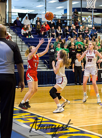 Centennial vs Shakopee Girls Basketball - State Tournament 060