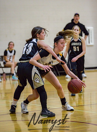 Forest Lake Girls 7 Maroon Basketball 109