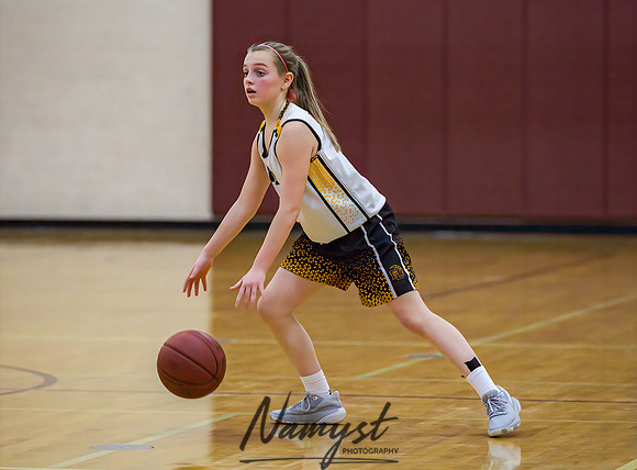 Forest Lake Girls 7 Maroon Basketball 091