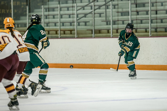 Chisago vs Forest Lake JV Hockey 171
