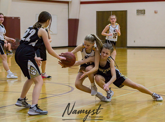 Forest Lake Girls 7 Maroon Basketball 097