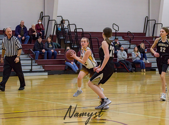 Forest Lake Girls 7 Maroon Basketball 069