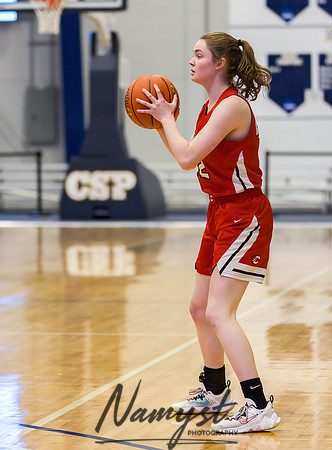 Centennial vs Shakopee Girls Basketball - State Tournament 047