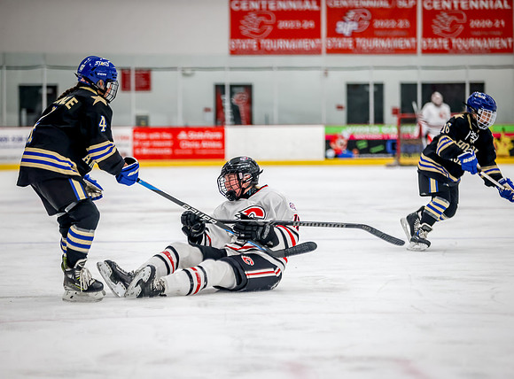 Centennial vs Holy Angels JV Hockey 40