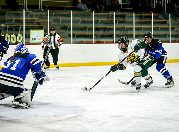 Chisago vs Rogers Varsity Hockey 378