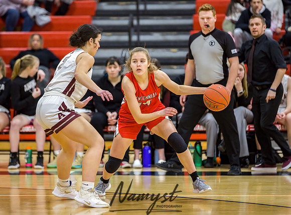 Centennial vs Anoka Girls Varsity Basketball 053