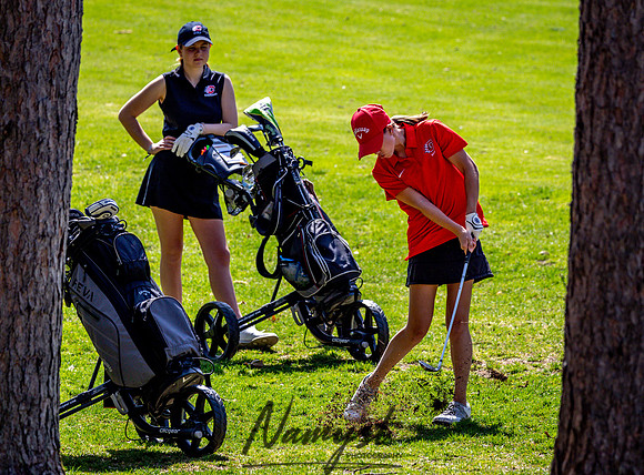 Centennial Girls Varsity Golf-141
