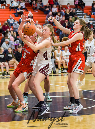 Centennial vs Anoka Girls Varsity Basketball 077
