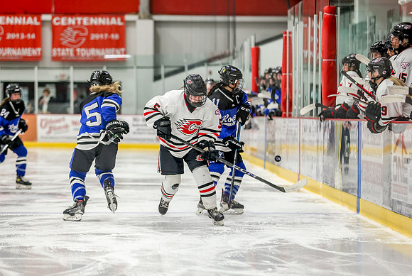 Centennial vs Roger Varsity Hockey 193