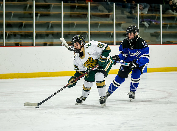Chisago vs Rogers Varsity Hockey 375