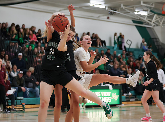Mounds View vs Forest Lake Varsity Basketball 219
