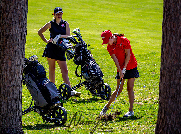 Centennial Girls Varsity Golf-140