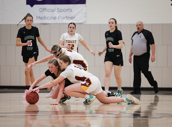 Mounds View vs Forest Lake Varsity Basketball 162
