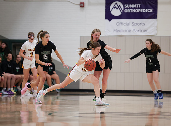 Mounds View vs Forest Lake Varsity Basketball 71