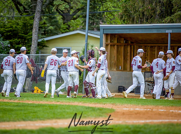 Forest Lake vs Chisago Lakes Varsity Baseball (780)