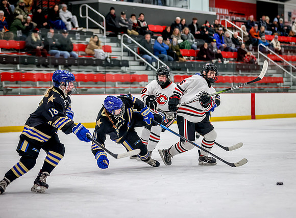 Centennial vs Holy Angels JV Hockey 130