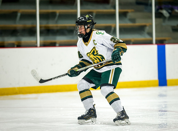 Chisago vs Rogers Varsity Hockey 358