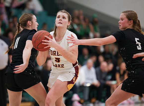 Mounds View vs Forest Lake Varsity Basketball 178