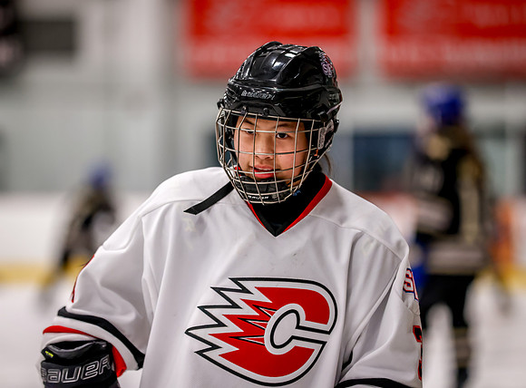 Centennial vs Holy Angels JV Hockey 19