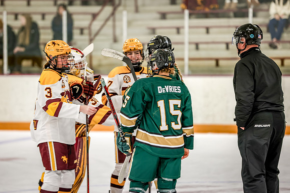 Chisago vs Forest Lake Varsity Hockey 57
