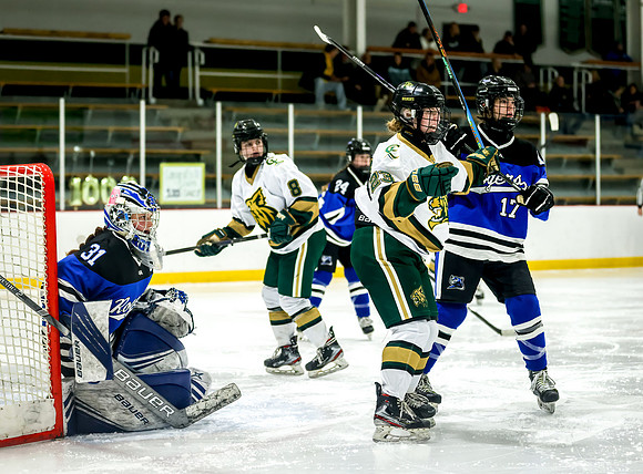 Chisago vs Rogers Varsity Hockey 343