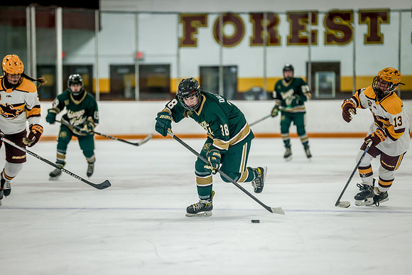 Chisago vs Forest Lake JV Hockey 74