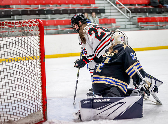 Centennial vs Holy Angels JV Hockey 150