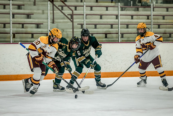 Chisago vs Forest Lake JV Hockey 78