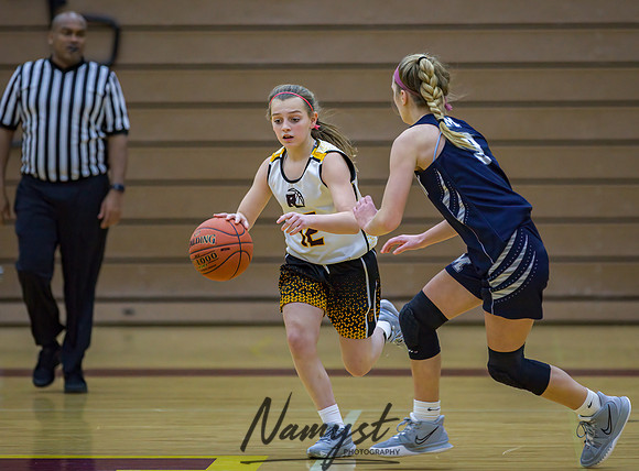 Forest Lake Girls 7 Maroon Basketball 137