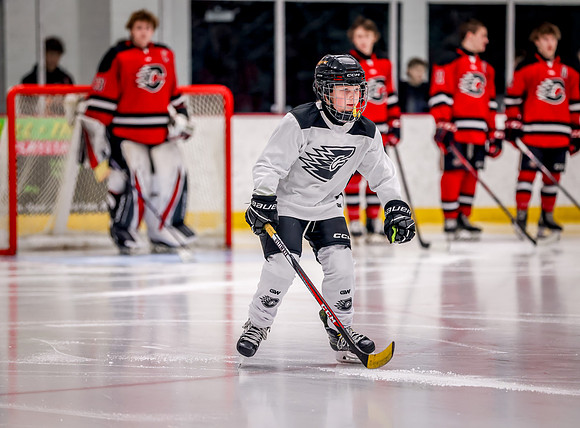 Chisago vs Rogers Varsity Hockey 17