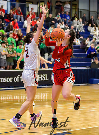 Centennial vs Shakopee Girls Basketball - State Tournament 074