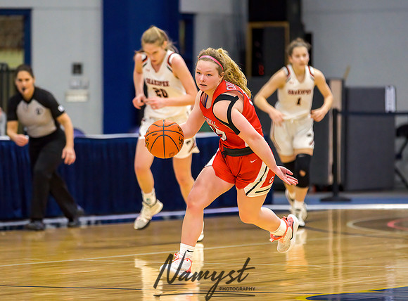 Centennial vs Shakopee Girls Basketball - State Tournament 078