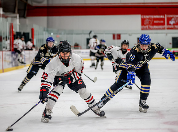 Centennial vs Holy Angels JV Hockey 102