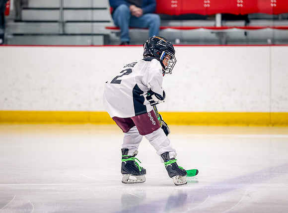 Chisago vs Rogers Varsity Hockey 14