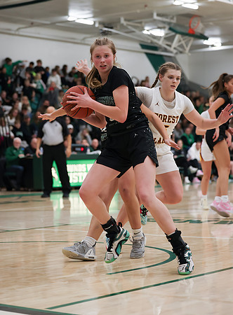 Mounds View vs Forest Lake Varsity Basketball 156