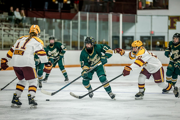 Chisago vs Forest Lake JV Hockey 208