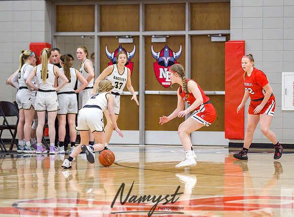 Centennial vs Andover Girls Varsity Basketball 166