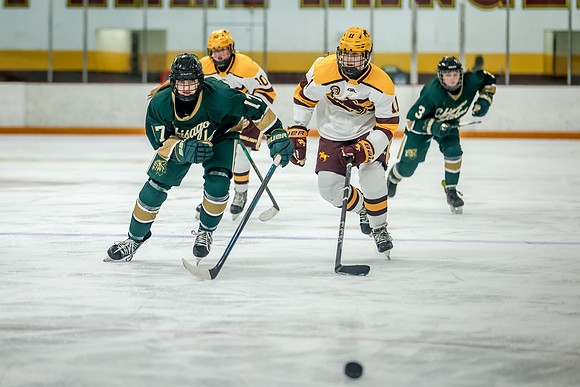 Chisago vs Forest Lake JV Hockey 200