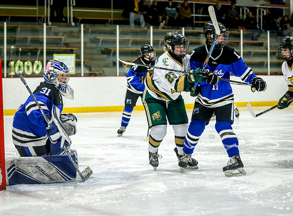 Chisago vs Rogers Varsity Hockey 340