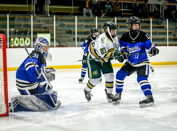 Chisago vs Rogers Varsity Hockey 339