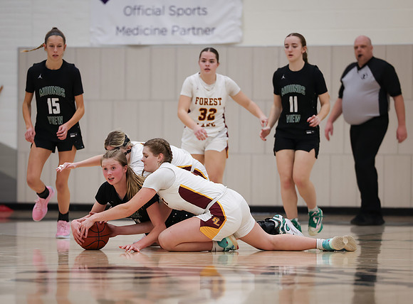 Mounds View vs Forest Lake Varsity Basketball 164