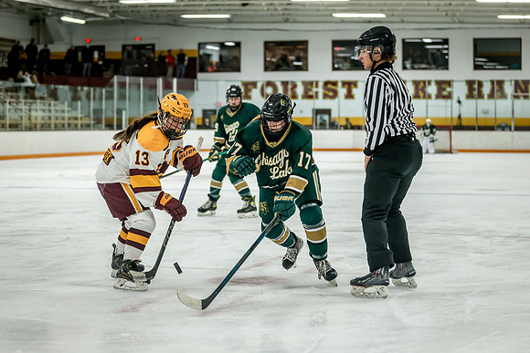 Chisago vs Forest Lake JV Hockey 223
