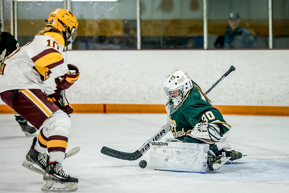Chisago vs Forest Lake JV Hockey 51