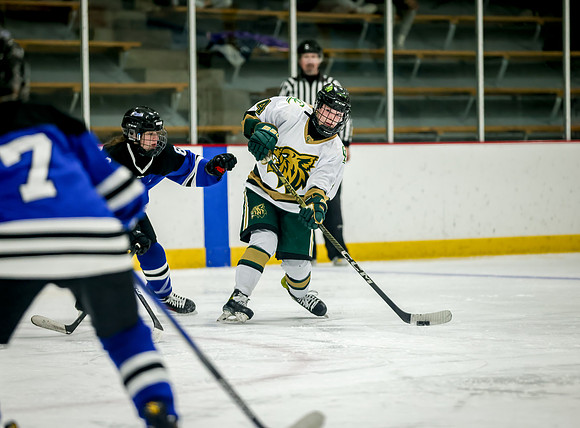 Chisago vs Rogers Varsity Hockey 389
