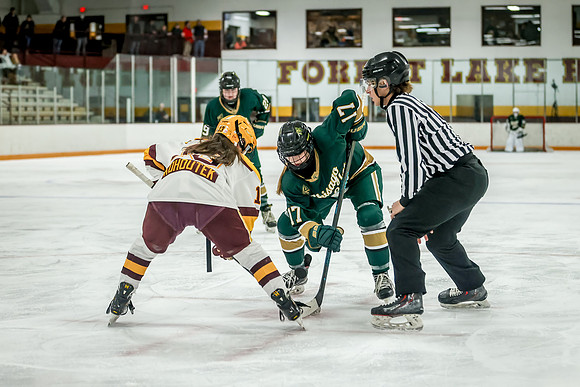 Chisago vs Forest Lake JV Hockey 218