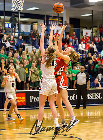 Centennial vs Shakopee Girls Basketball - State Tournament 064