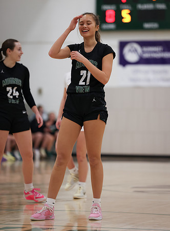 Mounds View vs Forest Lake Varsity Basketball 41
