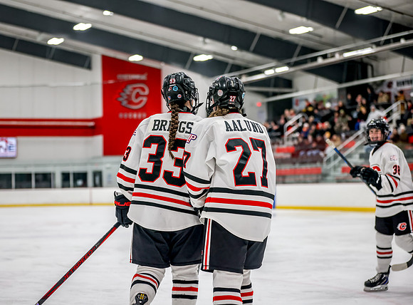 Centennial vs Holy Angels JV Hockey 34
