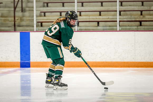 Chisago vs Forest Lake JV Hockey 13
