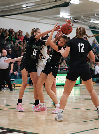 Mounds View vs Forest Lake Varsity Basketball 204